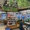 새종합약국 | 부산 동의의료원 약국 탐방 :: 친절+전문성 갖춘 365연중무휴 새동의약국 솔직 후기