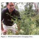 메디플랜트 이미지