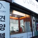 바우스토리 이미지