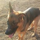 호돌이PC 이미지