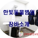 운정한빛동물병원 이미지