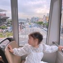 울산 | 울산 장생포 모노레일 후기🚝 6월 수국정원 개화 시기&amp;코스 총정리