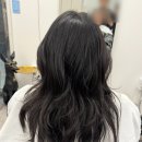 살롱 에이치(Salon h)