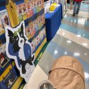 펫플러스라이프 | 10월 한정 펫마켓 팝업 in 목동 현대백화점｜위치·이벤트·후기 정리🐕