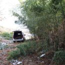 깊은산속 이미지