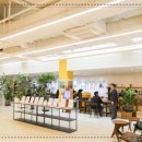 클럽케이서울 이미지