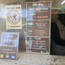 창분목장 | [경기도/가평] 아이랑 가볼만한곳, 가평양떼목장 입장료와 먹이주기 체험 후기