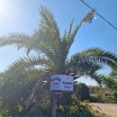 맨도롱하우스 이미지