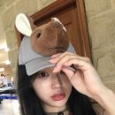 J-030 | 🐨🦘🖤