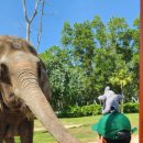 코끼리게임장 이미지