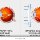 순천이노티안경원 법원점 이미지