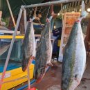 푸짐한마을 이미지