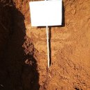 천우정비 이미지