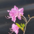 용설농장 이미지