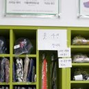 크린토피아걸포동점