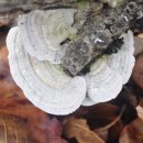 형제목장 이미지