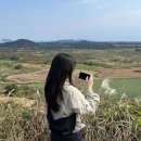 언아워 | 노형 미용실 “언아워” 디자인 펌 후기