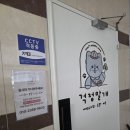 놀러오개 애견유치원 애견호텔 동대문점 | 동대문구 애견유치원 걱정말개 데이케어 후기
