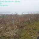 삼호읍사무소 이미지