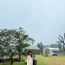 감귤향기 | 감귤꽃 향기 따라 걷는 제주도 조천카페 만다리노카페 방문기 (ft. 말먹이, 감귤따기, 키즈룸)