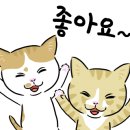 명풍공감 네이버블로그