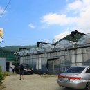 덕치농장 이미지