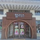 할리스 경주용강DT점