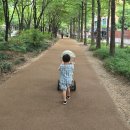 코지2 | 씨투엠뉴 코지푸쉬카 아기푸쉬카 1년 넘게 타본 실제 사용 후기 구매전 고민 된다면?