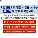 부산광역시강서구보건소 네이버블로그