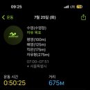수영수선