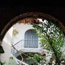 우드 스토리 이미지