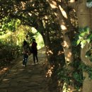 동백민박 이미지