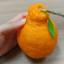 월평마을관리 사회적협동조합