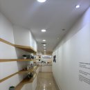 송파 탈모 지루성 두피염 전문점 '닥터포헤어 송파잠실점' 시그니처관리 후기