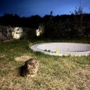 인순식당 이미지