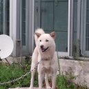 서야농장 이미지