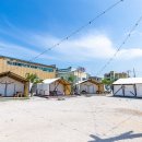 포항특미물회 이미지