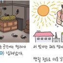 [305] ‘득시글득시글’과 ‘송골송골’ 이미지