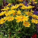 의료법인 라온의료재단 이미지