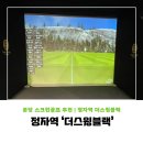 정자스크린골프 | 정자동골프 '더스윙블랙' 정자점 레슨 후기 | 정자동골프연습장