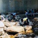 공원관리사무소 이미지