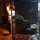 펫츠로그 양산점 이미지