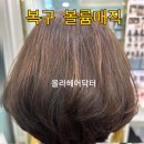 올라헤어닥터