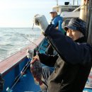 반도낚시 이미지