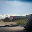 리더스독 이미지