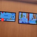 기아오토큐 비산점 이미지