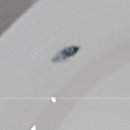 호두내과의원 이미지