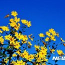 꼬끼오 - 고양시 덕양구 권율대로 907 | 꼬끼오