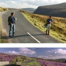 (유)아일랜드여행 이미지