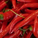 사과랑 고추랑 이미지